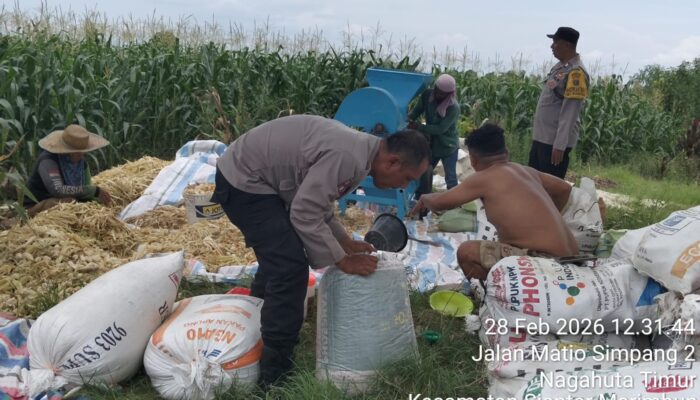 Polri All Out Dukung Ketahanan Pangan, Bhabinkamtibmas Siantar Barat Turun Langsung ke Ladang Warga