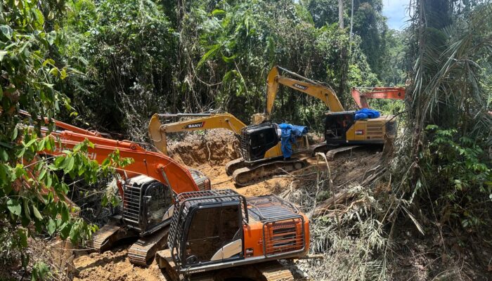 Polda Sumut Bongkar Tambang Emas Ilegal Beromzet Miliaran, 17 Orang dan 14 Ekskavator Diamankan