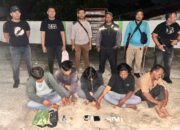 Berawal dari Dumas ke Ditnarkoba Polda Sumut, Polres Simalungun Ringkus Lima Pelaku Narkoba di Seribu Dolok