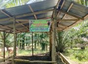 Iuran Rp200 Ribu Dipersoalkan, Ketua Kelompok Tani Melati VI Buka Suara: Untuk Obat Sapi, Bukan Kepentingan Pribadi