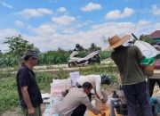 Dukung Ketahanan Pangan, Polsek Siantar Marihat Monitoring Panen Jagung Warga