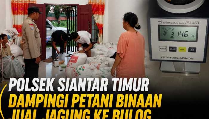 Polsek Siantar Timur Dampingi Petani Binaan Jual Jagung ke Bulog