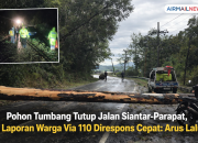 Pohon Tumbang Tutup Jalur Siantar–Parapat, Laporan 110 Direspons Cepat: Arus Lalu Lintas Kembali Normal