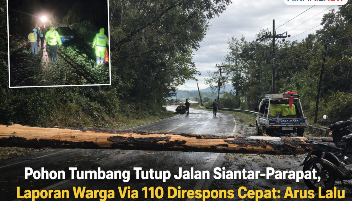 Pohon Tumbang Tutup Jalur Siantar–Parapat, Laporan 110 Direspons Cepat: Arus Lalu Lintas Kembali Normal