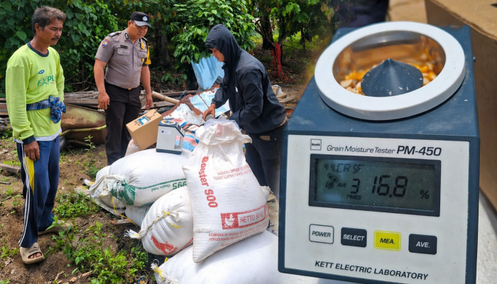 Polisi Turun Tangan! Polsek Siantar Marihat Kawal Penjualan Jagung Petani ke Bulog