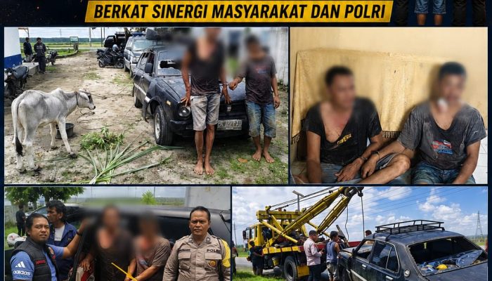 Respons Cepat Laporan 110, Unit Jatanras Polres Simalungun Bekuk Dua Pencuri Anak Lembu