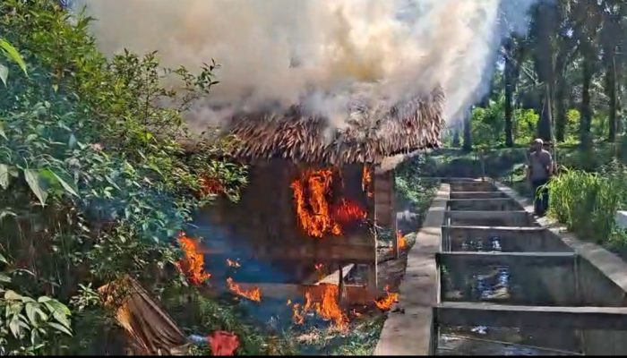 Polres Simalungun Grebek Sarang Narkoba di Tanah Jawa, Lima Tersangka Diamankan dengan Sabu Hampir 100 Gram