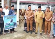 Bupati Simalungun Serahkan Sapi Kurban Bantuan Presiden Prabowo ke Masjid Al-Aksho