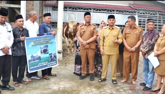 Bupati Simalungun Serahkan Sapi Kurban Bantuan Presiden Prabowo ke Masjid Al-Aksho