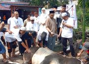 Sri Rahmawati dan Bobby Nasution Tebar Berkah Iduladha di Siantar, Sapi Kurban 1,3 Ton Dibagikan untuk 700 Warga