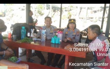 Dukung Program Ketahanan Pangan, Kapolsek Siantar Utara Monitoring Lahan Jagung Petani Binaan