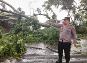 Pohon Raksasa Tumbang Timpa Rumah dan Tutup Jalan Melanthon Siregar, Kapolsek Siantar Marihat Turun Langsung Pimpin Evakuasi