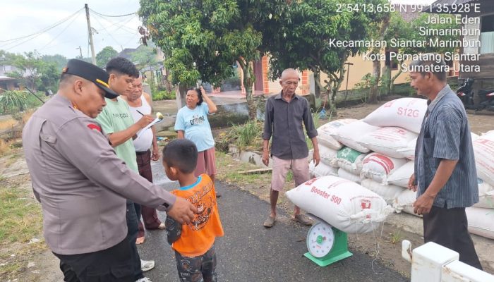 Kapolsek Siantar Marihat Dampingi Penjualan Hasil Panen Jagung Petani Binaan ke Bulog Pematangsiantar