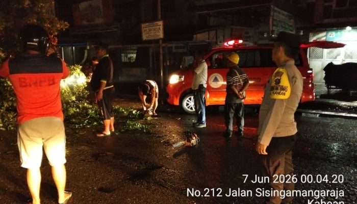 Respons Cepat Pohon Tumbang, Personel Polsek Siantar Utara Amankan Arus Lalu Lintas