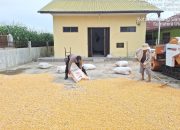 Dukung Ketahanan Pangan, Bhabinkamtibmas Siantar Marihat Sambangi Petani Jagung Binaan