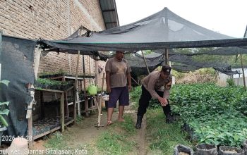 Dukung Ketahanan Pangan, Bhabinkamtibmas Polsek Siantar Martoba Sambangi Warga Pemanfaat Pekarangan Produktif