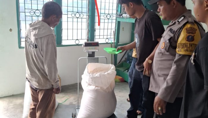 Bhabinkamtibmas Polsek Siantar Marihat Dampingi Petani Jual Hasil Panen Jagung ke Bulog