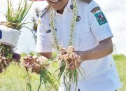 Bupati Simalungun Serahkan Alsintan dan Pimpin Panen Raya Bawang Merah di Dolog Masagal