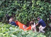 Nenek Hilang Sejak 27 Juni Ditemukan Meninggal di Parit Perkebunan, Tim Inafis dan Polsek Gunung Malela Lakukan Evakuasi