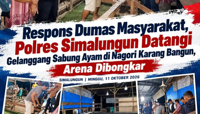 Polsek Gunung Malela Tindaklanjuti Dumas Sabung Ayam, Arena Dibongkar Pemilik