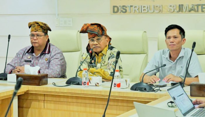 Bupati Simalungun Dukung Pengembangan PLTS dan Baterai Penyimpanan Energi
