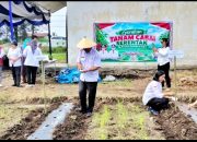 Jaga Ketersediaan dan Pasokan Cabai, Pemkab Simalungun Laksanakan Gerakan Tanam Cabai Merah Serentak