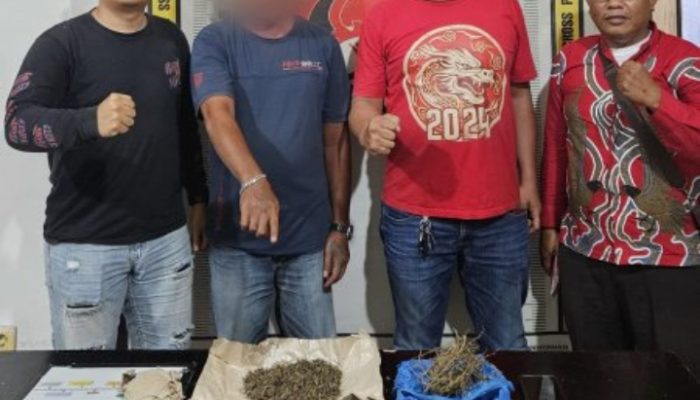 Polsek Gunung Malela Amankan Pria 46 Tahun, Ratusan Paket Ganja Disita